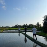 Holistic self care and relaxation surrounded by Bali nature