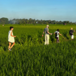 Simple Ways to Learn Balinese & Indonesian for Travel
