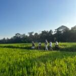 7-Day Active Bali Nature & Movement Journey